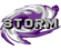 Houston Storm Girls 14U