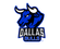 Dallas Bulls