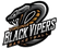 Virginia Black Vipers