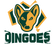 Dingoes