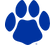 Georgia Panthers