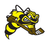 Victoria Bees