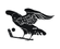 Crows
