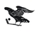 Crows