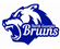 North Georgia Bruins