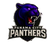 Panama City Panthers