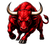 Miami Bulls