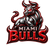 Miami Bulls