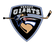 Surrey Giants