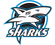 Port Moody Sharks