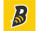 Bozeman Stingers