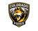 Colorado Foxes