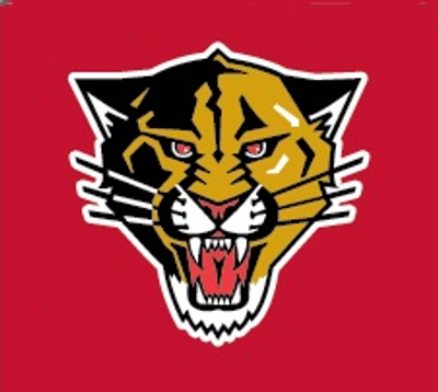Performance Graphics Panthers logo