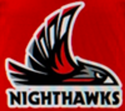 Nighthawks logo