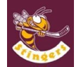 Stingers logo