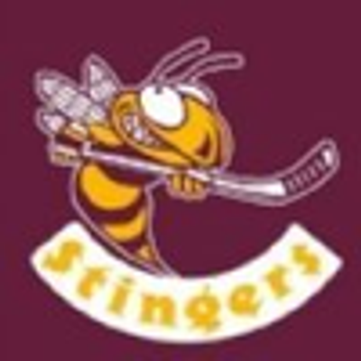 Stingers logo