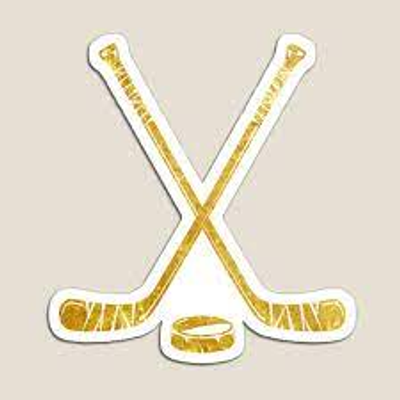 Stick Magnets logo
