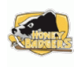 Honey Badgers (Kim) logo