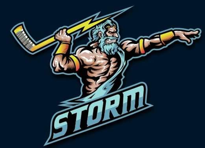 STORM HC logo