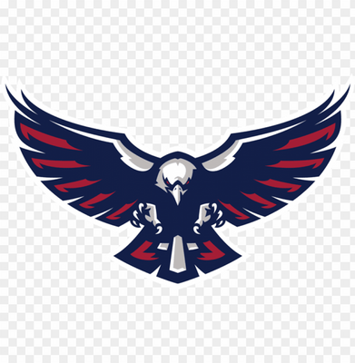 The Balding Eagles logo