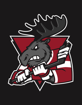 Swamp donkeys A logo