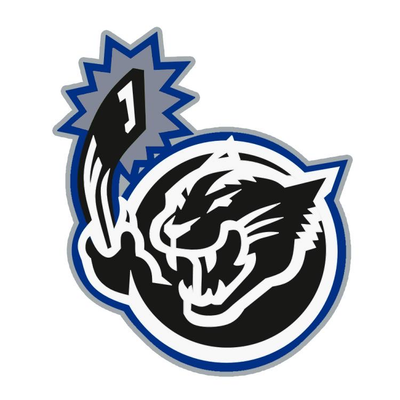 Archtic Cats logo