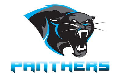 Panthers (Irish) logo