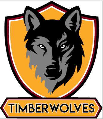 Timberwolves logo