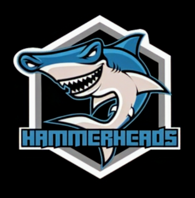 Hammerheads logo