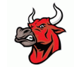 Red Bulls logo