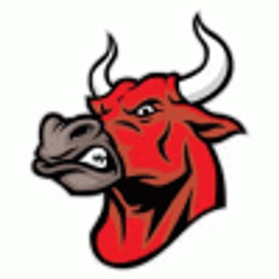 Mad Mechanical Red Bulls logo