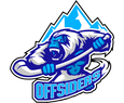 Offsiders 2 logo