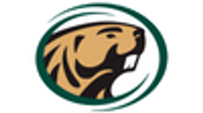 Smashing Beavers logo