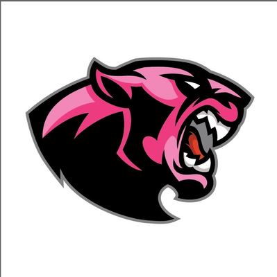 Panthers V logo