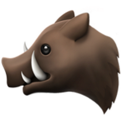 Boars logo