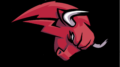 Redbulls logo