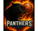 Panthers