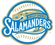 Holly Springs Salamanders