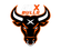 Austin Bulls