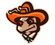Peoria Fleas