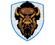Buffalo Tempest